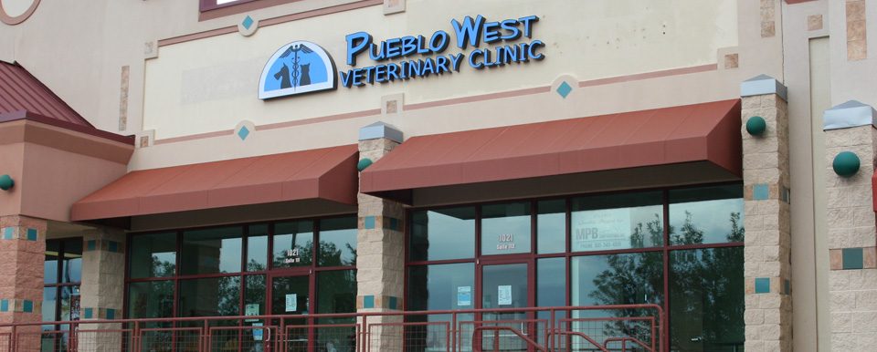 Pueblo West Veterinary Clinic storefront