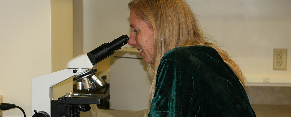 Dr. Krenz reading a sample at the in-house laboratory microscope