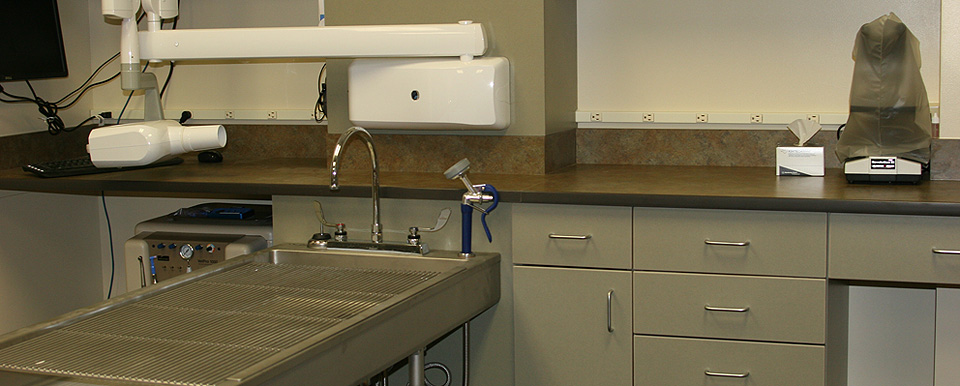 The clinic’s separate surgery and treatment suite